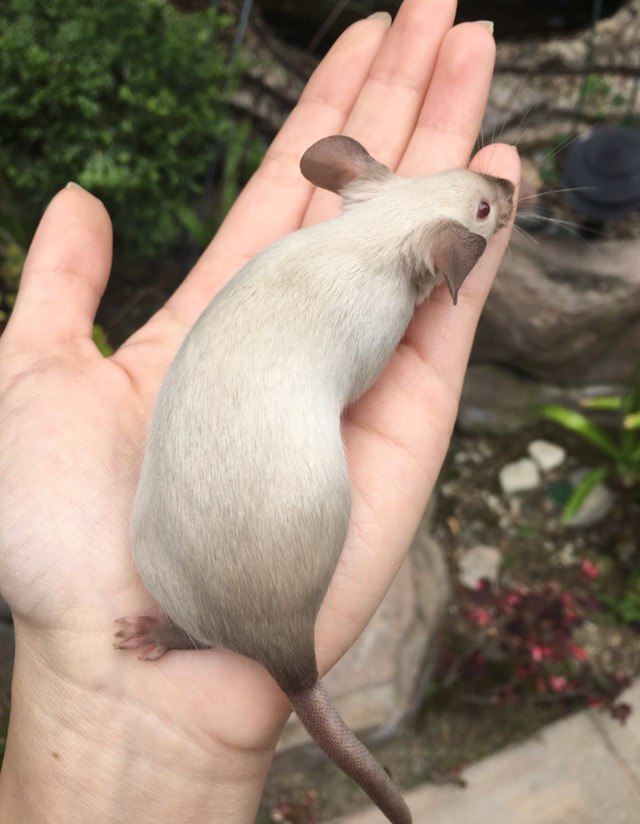4 У