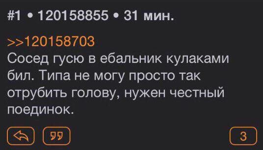 #1 120158855 31 мин. >>120158703 Сосед гусю в ебальник кулаками бил. Типа не могу просто так отрубить голову, нужен честный поединок.
