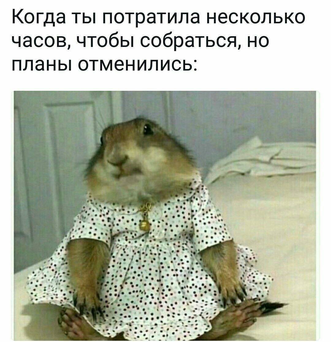 Когда ты потратила несколько часов, чтобы собраться, но планы отменились:
