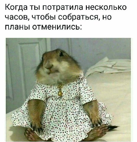 Когда ты потратила несколько часов, чтобы собраться, но планы отменились: