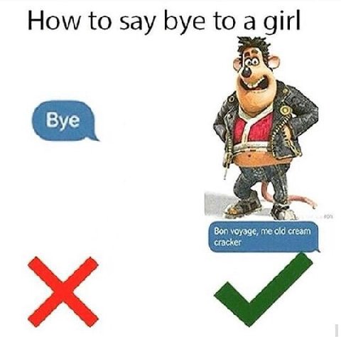How to say bye to a girl a cracker Bon voyage, me cream