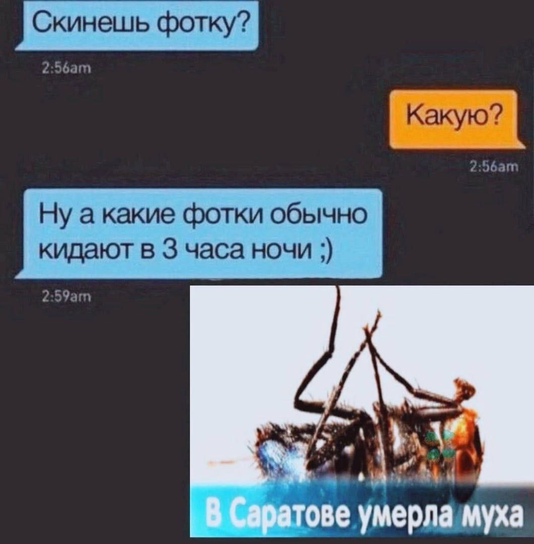 Какую? Ну акакие фотки обычно кидают в 3 часа ночи умерла муха