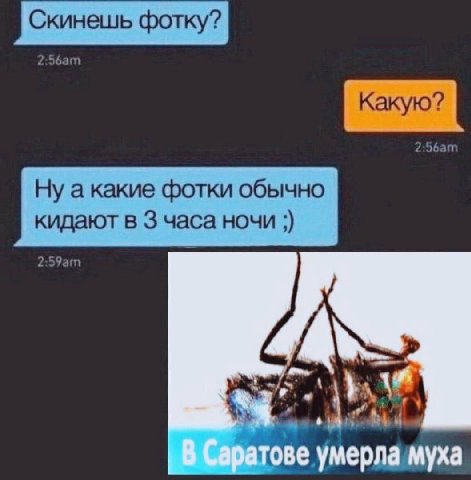 Какую? Ну акакие фотки обычно кидают в 3 часа ночи умерла муха