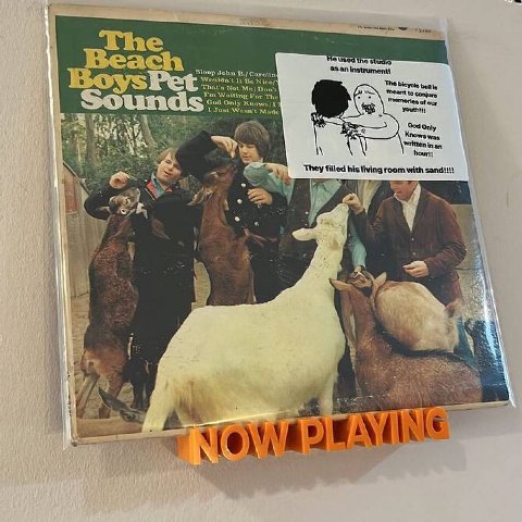 Little Lost record shop, Connecticut