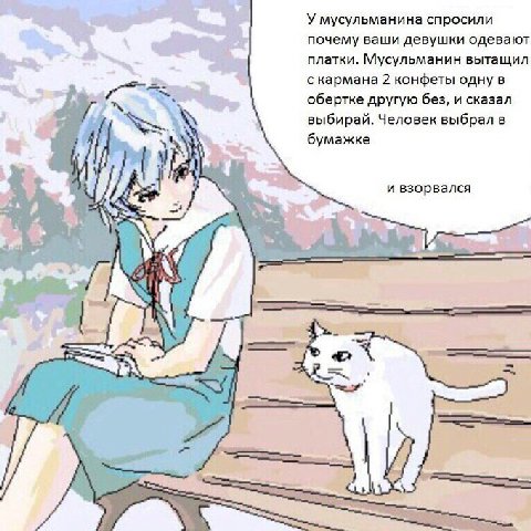У мусульманина спросили почему ваши девушки одевают платки. Мусульманин вытащил скармана 2 конфеты одну в обертке другую без, и сказал выбирай. Человек выбрал в бумажке и взорвался