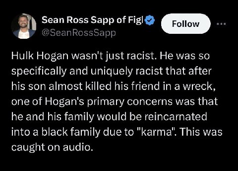 Ross барр of Fig! Hulk Hogan wasn't just racist. He was so specifically and uniquely racist that after his son almost killed his friend in a wreck, one of Hogan's primary concerns was that he and his 