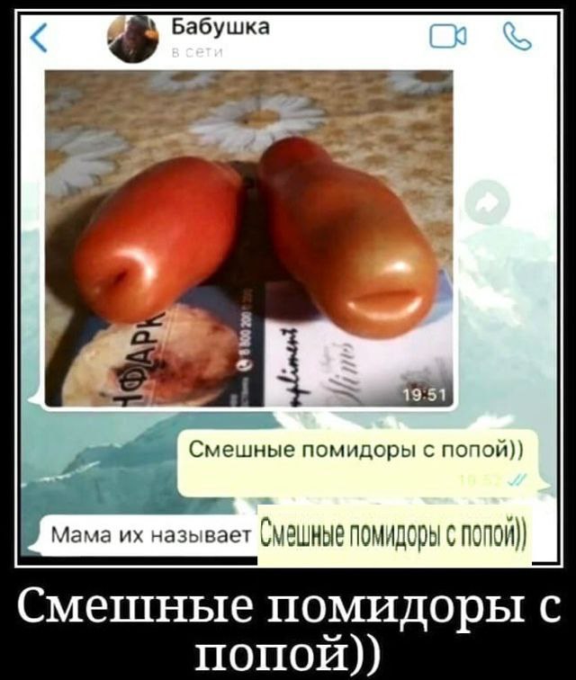 Бабушка Смешные помидоры с попой)) Смешные помидоры с Смешные помидоры с попой))