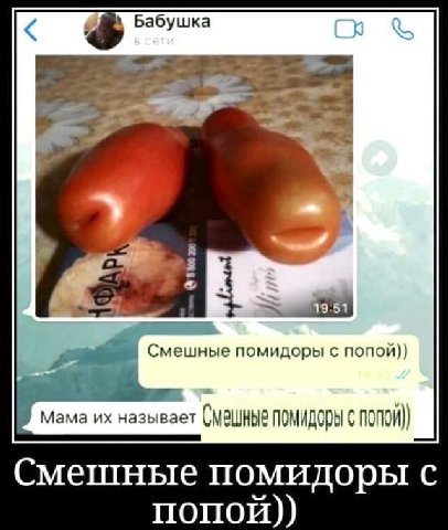 Бабушка Смешные помидоры с попой)) Смешные помидоры с Смешные помидоры с попой))