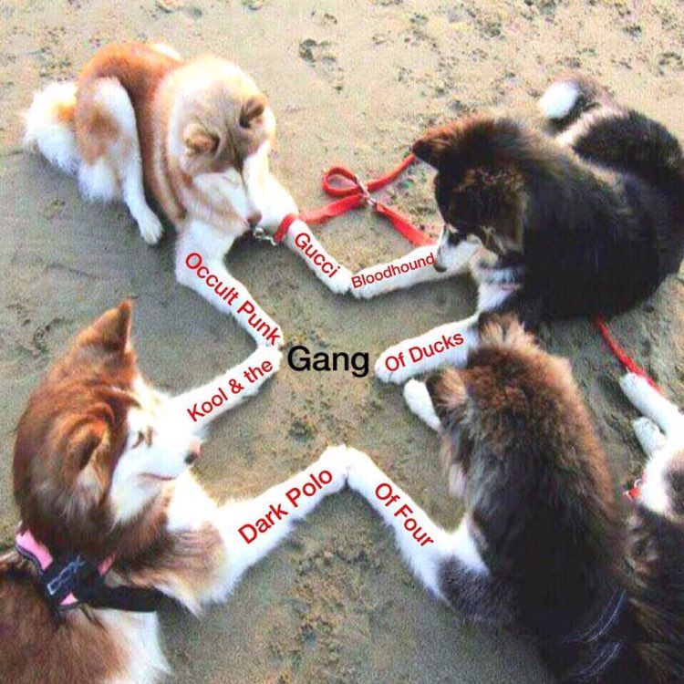 a 7 "ite a 4 4 4 О я С yor? 0 ‘Gang 4 у О 21 a у 4 у i