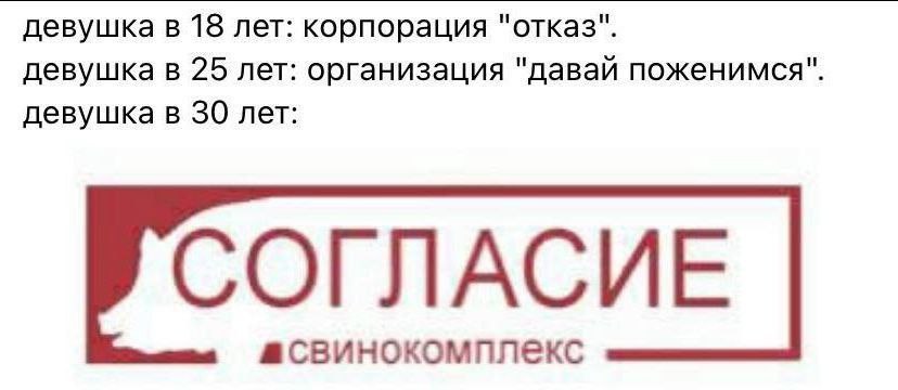 девушка в 18 лет: корпорация "отказ". девушка в 25 лет: организация "давай поженимся" девушка в 30 лет: СОГЛАСИЕ