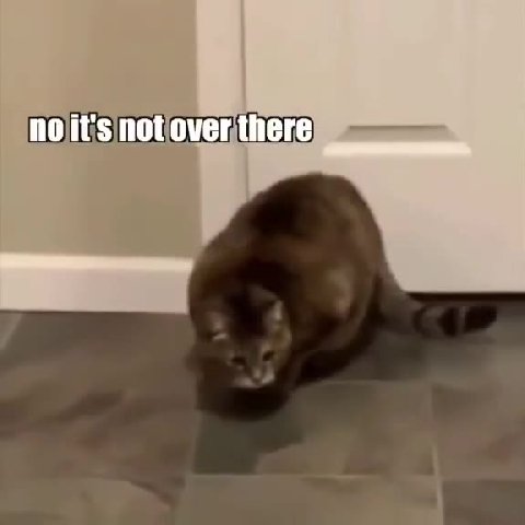 по потомегиеге р