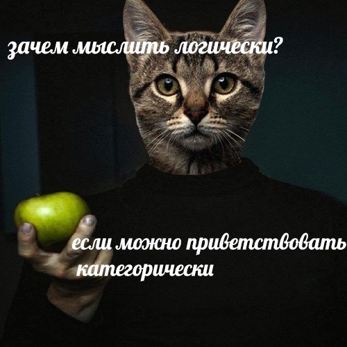 зачем лияслить логически ски? a если можно приветствовать категорически