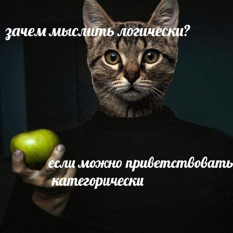 зачем лияслить логически ски? a если можно приветствовать категорически