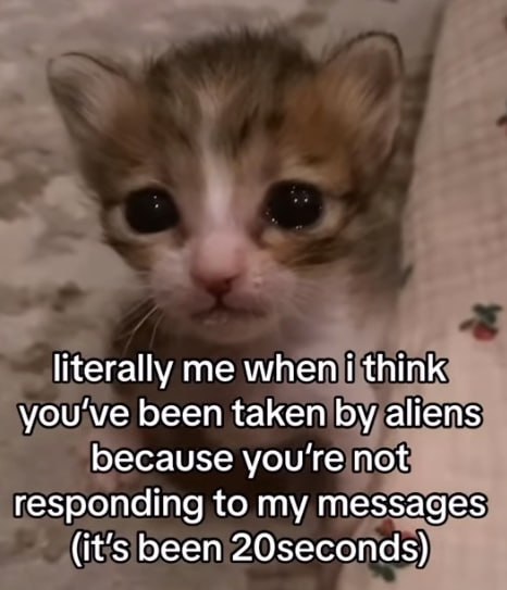literally when i think you been taken aliens because you're not responding to my messages (it’s been 20seconds)