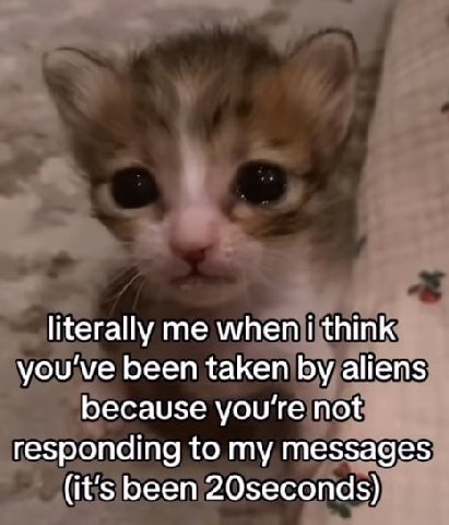 literally when i think you been taken aliens because you're not responding to my messages (it’s been 20seconds)
