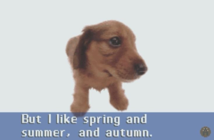 But like spring and and autumn.