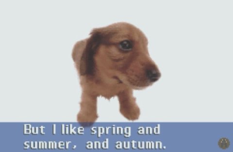 But like spring and and autumn.