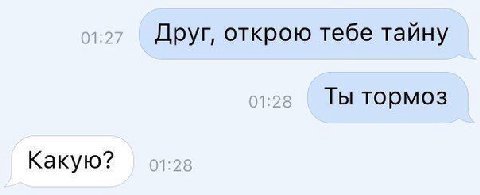 Друг, открою тебе тайну Ты тормоз Какую?