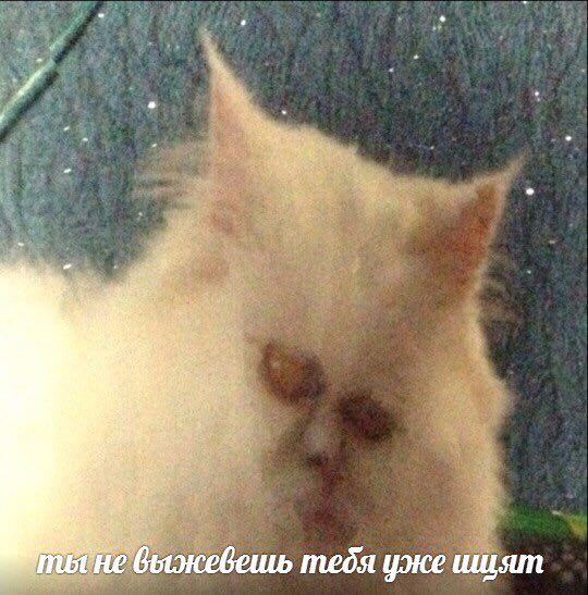 в быжевешь тебя уже ищят
