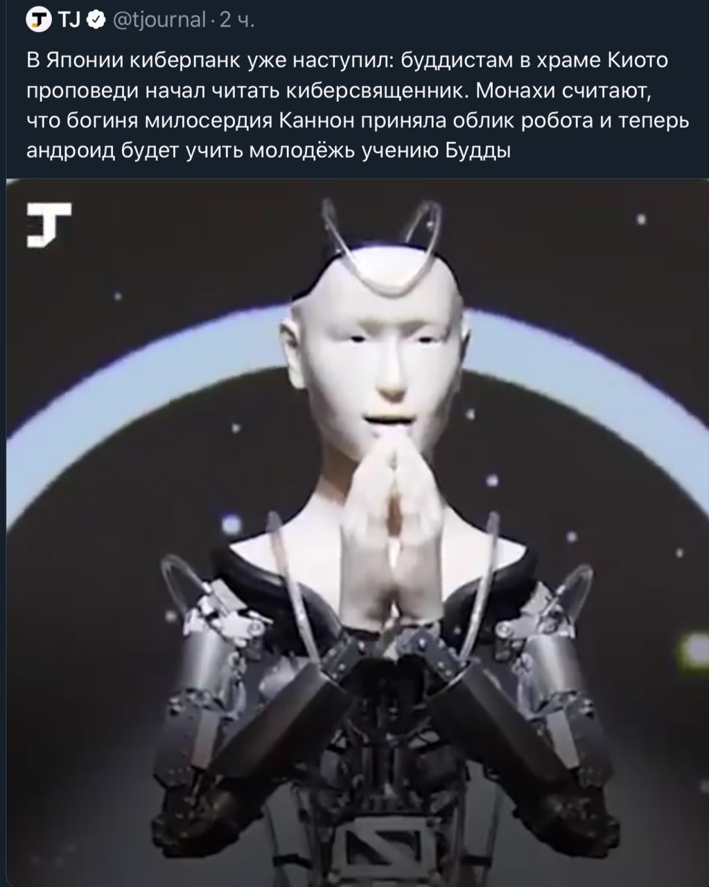 putin chan