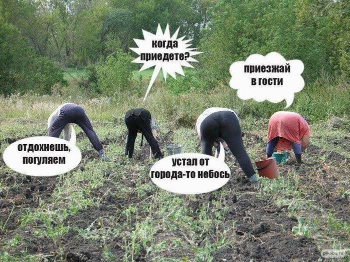 когда риедетез приезжай Be устал An гопода-то небось. 75 7 28 я 45