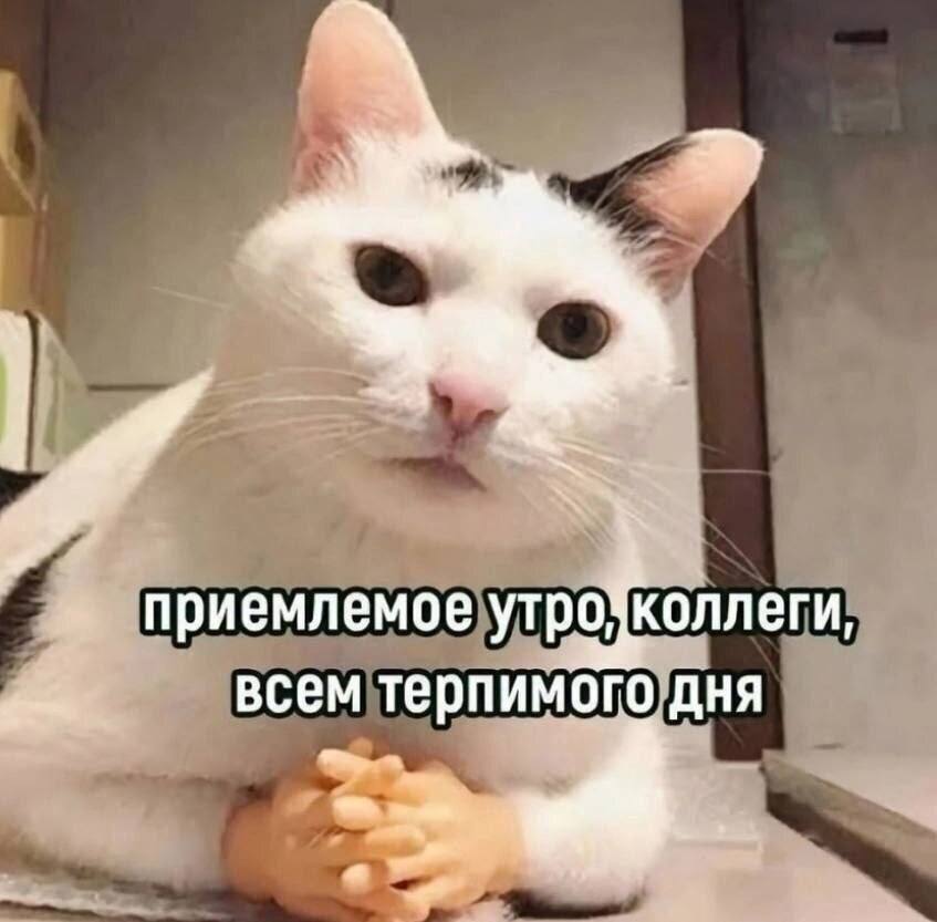 приемлемое всем терпимого дня a