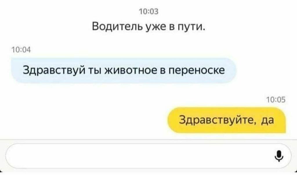 10:03 Водитель уже в пути. 10:04 Здравствуй ты животное в переноске 10:05 Здравствуйте, да