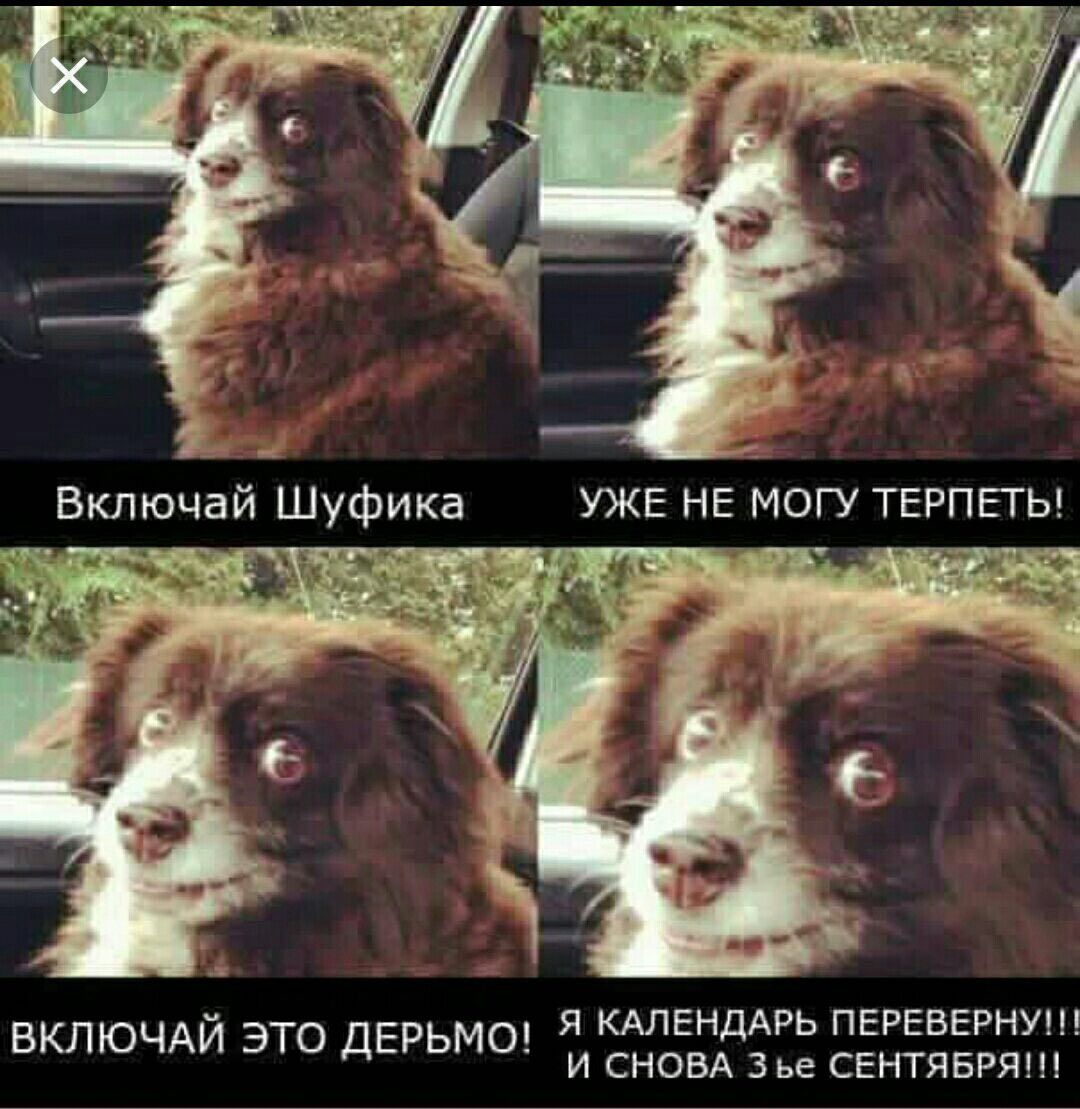 at “4 Включай Шуфика УЖЕ МОГУ ТЕРПЕТЬ! ВКЛЮЧАЙ ЭТО ДЕРЬМО! Я КАЛЕНДАРЬ ПЕРЕВЕРНУ!!! И СНОВА Зье СЕНТЯБРЯ!!!