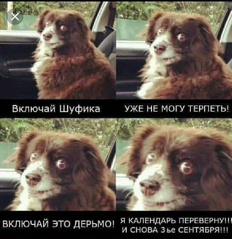 at “4 Включай Шуфика УЖЕ МОГУ ТЕРПЕТЬ! ВКЛЮЧАЙ ЭТО ДЕРЬМО! Я КАЛЕНДАРЬ ПЕРЕВЕРНУ!!! И СНОВА Зье СЕНТЯБРЯ!!!