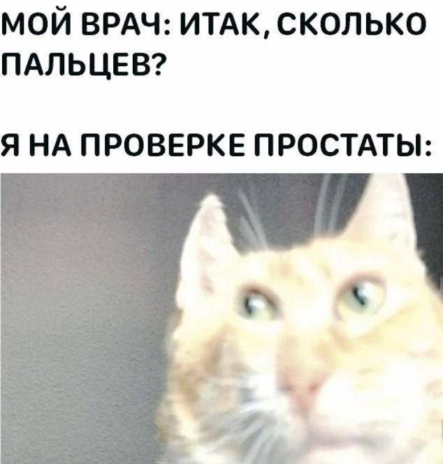 МОЙ ВРАЧ: ИТАК, СКОЛЬКО ПАЛЬЦЕВ? ЯНА ПРОВЕРКЕ ПРОСТАТЫ