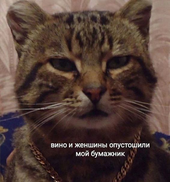 вино и женшины опустошили мой бумажник