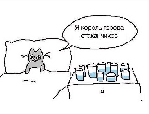 Я король города стаканчиков