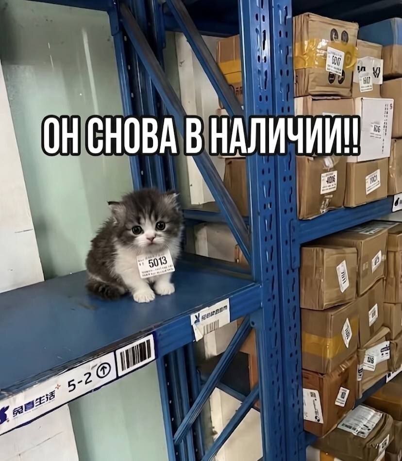 ОНСНОВА В НАЛИЧИИ! 5013 5-2