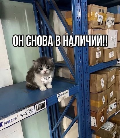 ОНСНОВА В НАЛИЧИИ! 5013 5-2