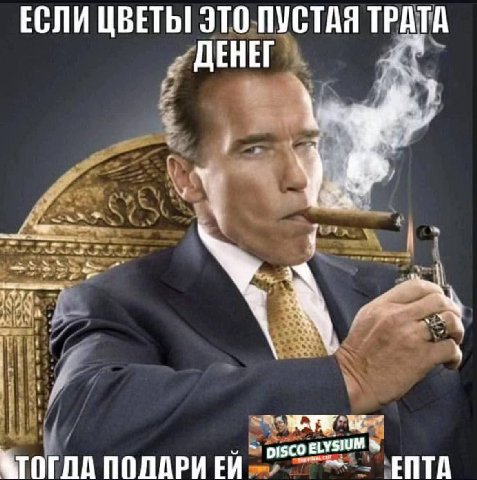 ЕСЛИ ЦВЕТЫ ЭТО ПУСТАЯ ТРАТА ДЕНЕГ ПОЛАРИ