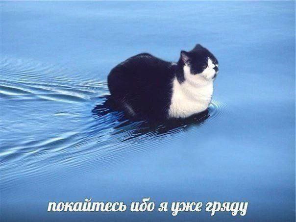 покайтесь ибо я уже гряду