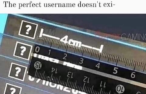 The perfect username doesn exi-