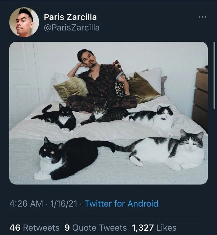 Paris Zarcilla @ParisZarcilla 4:26 1/16/21 Twitter for Android 46 Retweets 9 Quote Tweets 1,327 Likes