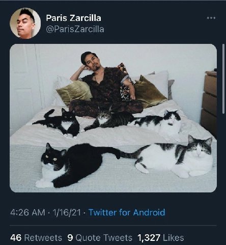 Paris Zarcilla @ParisZarcilla 4:26 1/16/21 Twitter for Android 46 Retweets 9 Quote Tweets 1,327 Likes