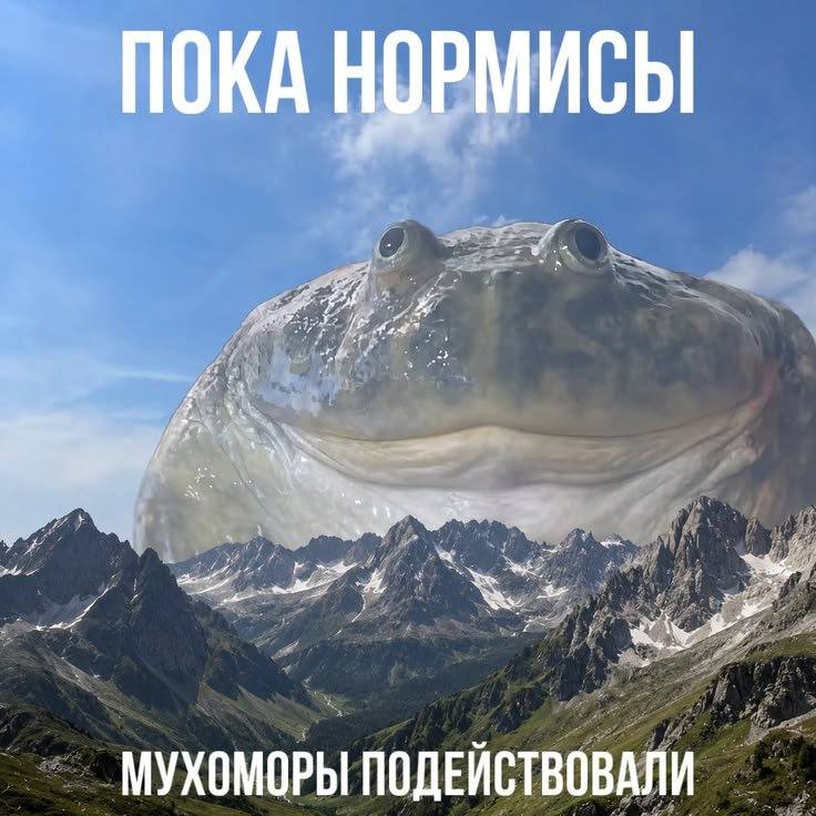 ПОКА НОРМИСЫ МУХОМОРЫ ПОДЕИСТВОВАЛИ