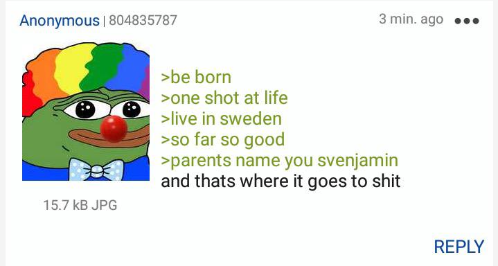 Anonymous 804835787 3min.ago eee >be born >one shot at life >live in sweden >so far so good >рагеп{$ name you svenjamin and thats where it goes to shit 15.7 JPG REPLY