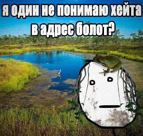 один не понимаю хейта