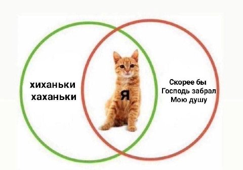 Скорее бы хиханьки хаханьки Господь забрал Мою душу