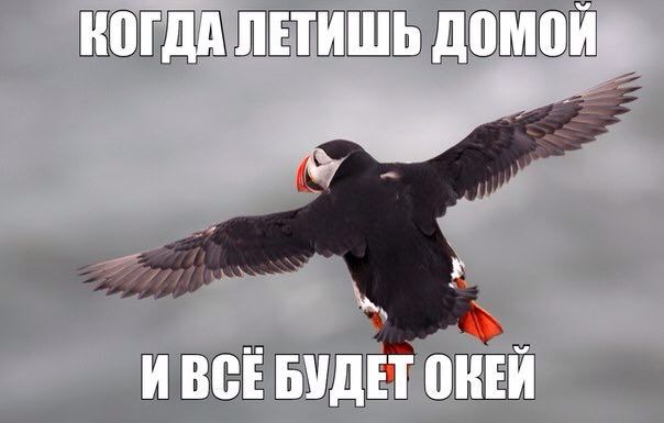 КОГДА ЛЕТИШЬ ИВСЕ БУДЕТ ОКЕЙ