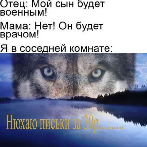 Отец: Мои сын военным! Мама: Нет! Он будет врачом! Я в соседней комнате: Нюхаю