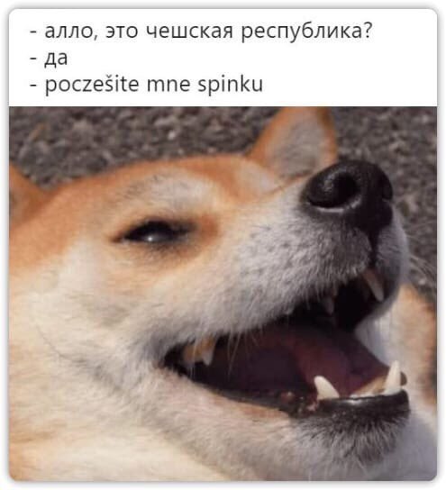алло, это чешская республика? да poczesite тпе spinku