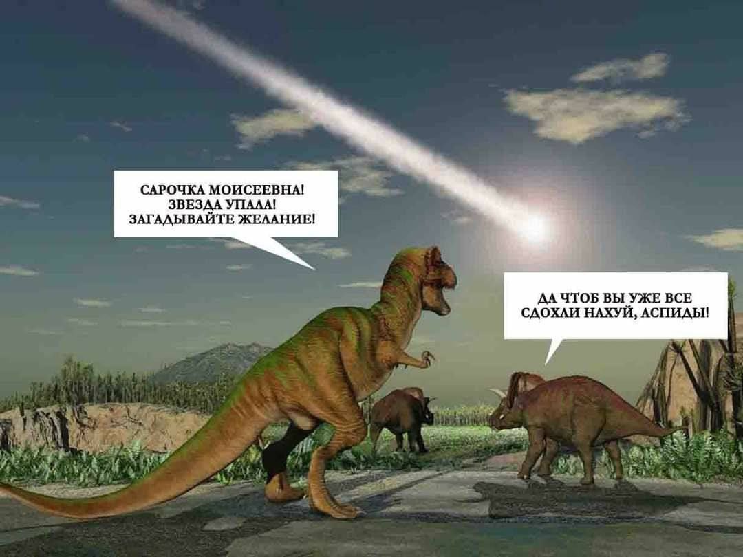 САРОЧКА МОИСЕЕВНА! ЗВЕЗДА УПАЛА! ЗАГАДЫВАЙТЕ ЖЕЛАНИЕ! ДА ЧТОБ ВЫ УЖЕ ВСЕ СДОХЛИ НАХУЙ, АСПИДЫ! 1