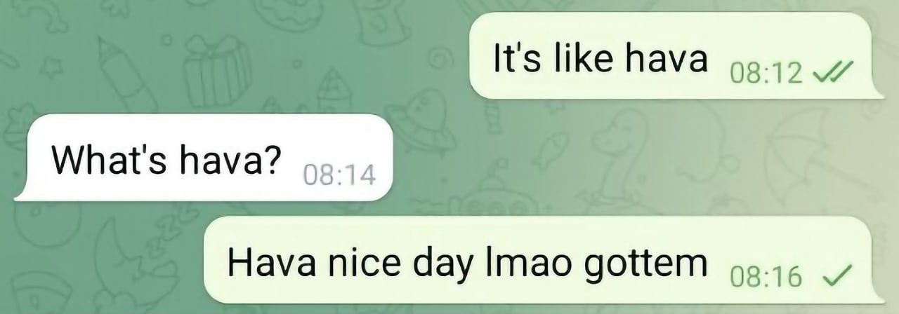 It's like hava What's hava? Hava nice day Imao gottem 08:16