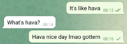 It's like hava What's hava? Hava nice day Imao gottem 08:16