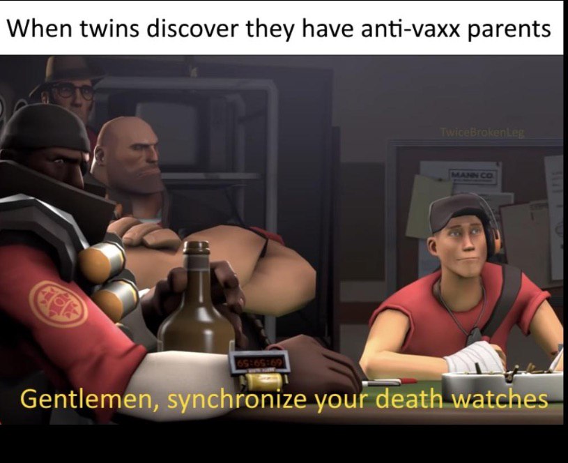 When twins discover they have anti-vaxx parents Gentlemen, synchronize your death watches